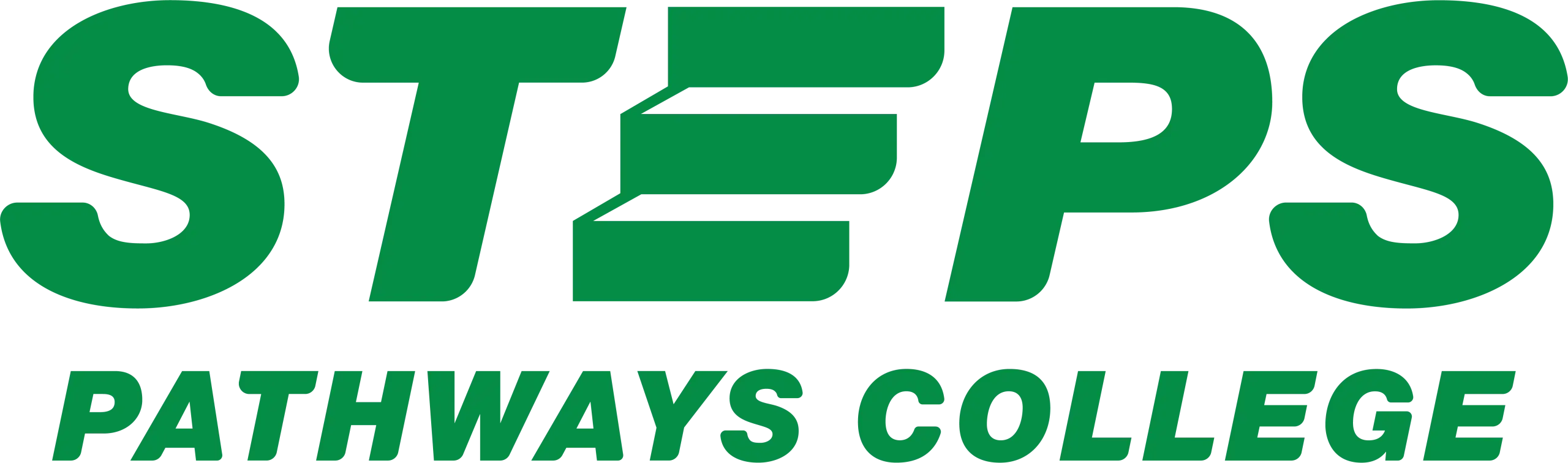 STEPS Organisation Logo